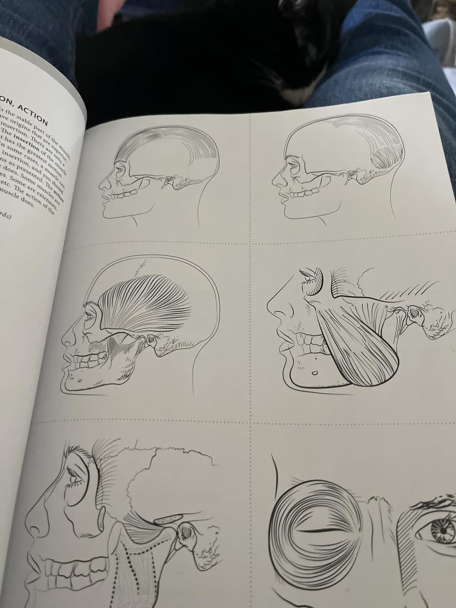 The printed pages open on a lap, showing the origin, insertion and action section and the muscle flashcards
