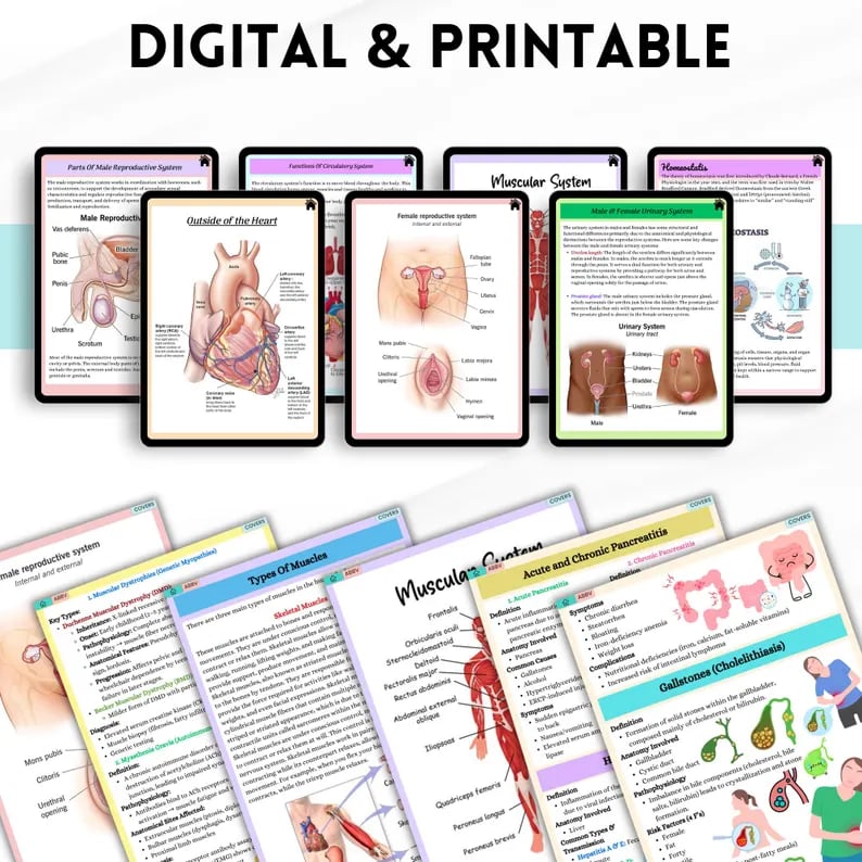 Pages from the bundle shown on tablets and as printed sheets, covering the heart, urinary and muscular systems